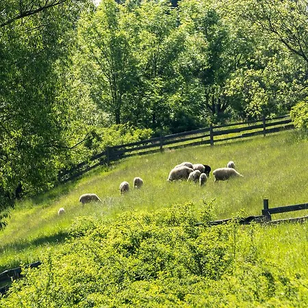 Chalet Na Brzysku Pod Bialka Leśnica